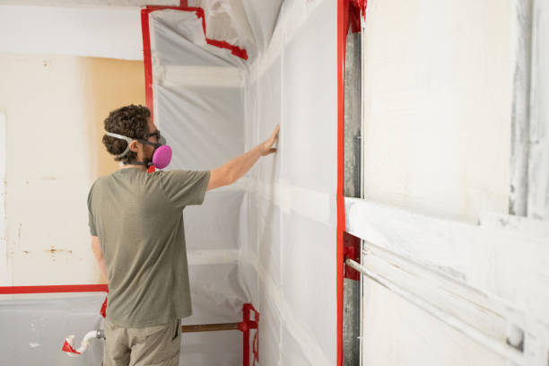 Best Mold Damage Restoration  in Mcgovern, PA